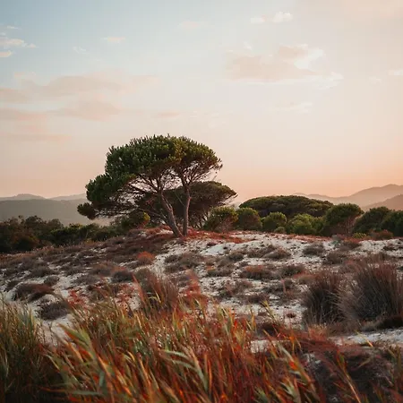 Alba Sul Mare Βίλα *