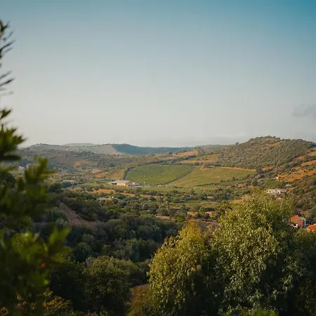 Alba Sul Mare