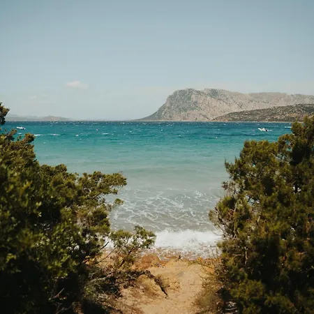 Alba Sul Mare Villa *