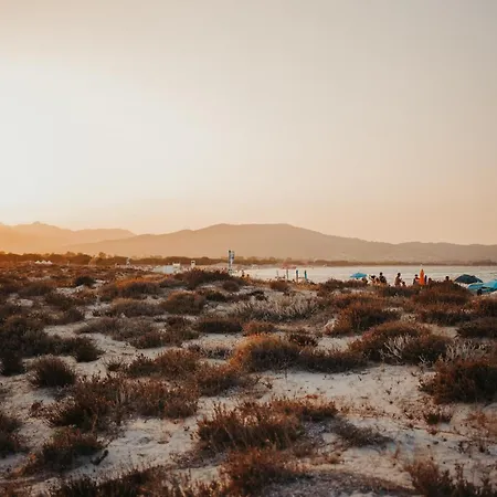 Alba Sul Mare Budoni